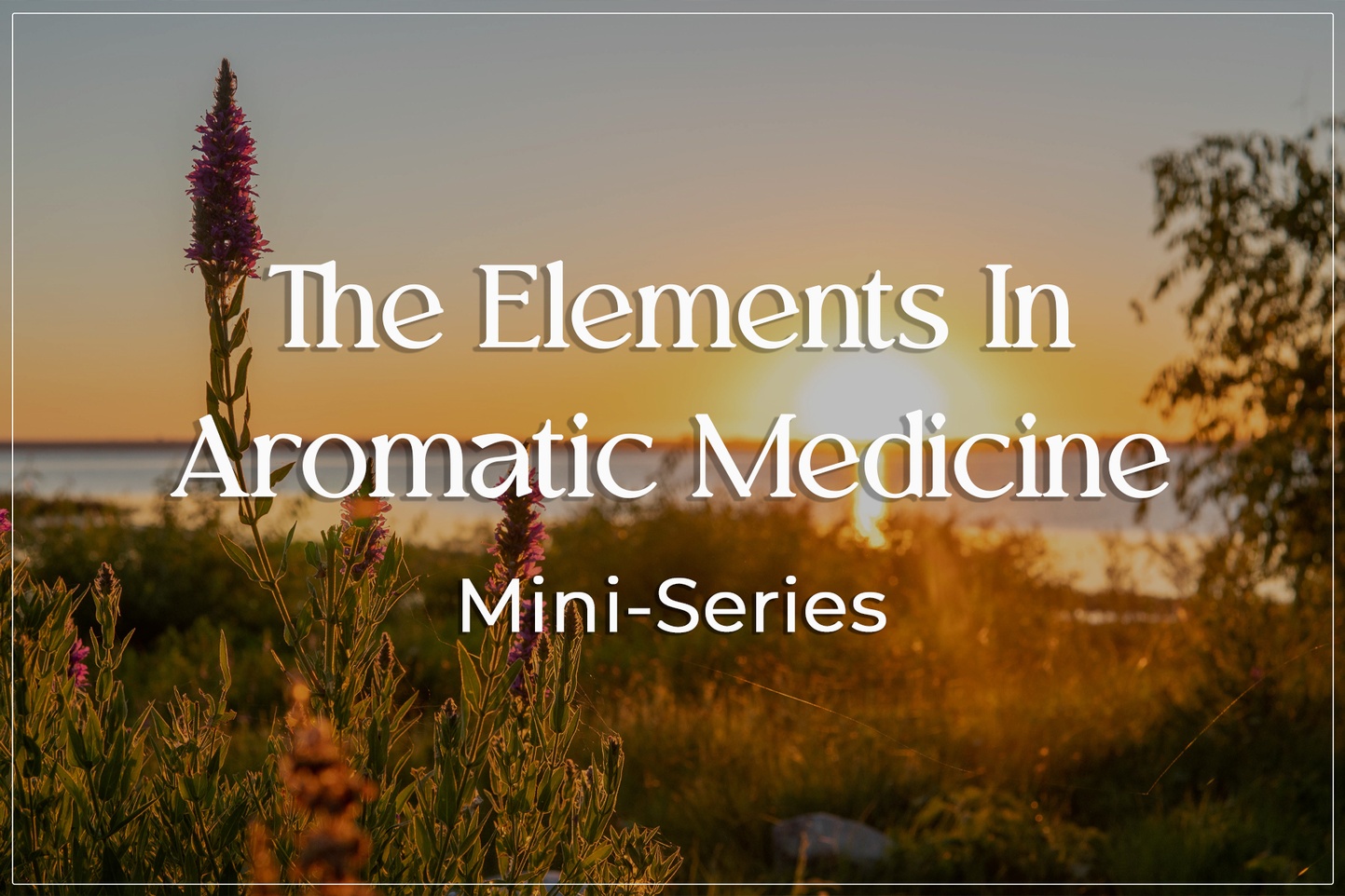 Elements & Aromatics Mini-Series