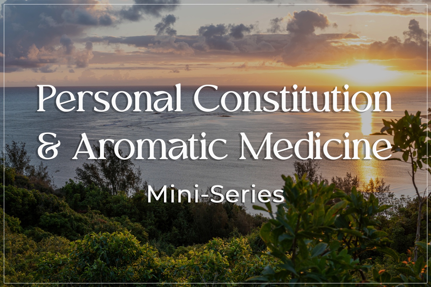 Personal Constitution Mini-Series